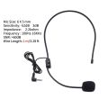 Portable Wireless FM Mic Head-Mounted Microphone with Receiver Professional Little Bee Teacher Speaker Gaming Audio Amplifiers. 