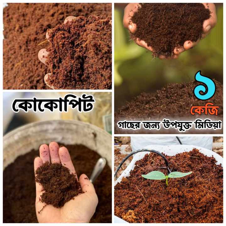 Natural Coco Peat- 1 KG(Ready Cocopeat) for Gardening/Best For Garden.