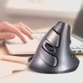 DELUX M618 6-Keys Vertical Snail Ergonomic Wireless Mouse.