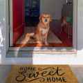 Coir Welcome Mats for Front Door Door Mat with Non- Backing D.