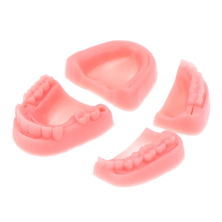 4Pcs%20Dental%20Simulation%20Oral%20Suture%20Model%20Gum%20Suture%20Teaching%20Training%20Equipment%20-%20Image%202