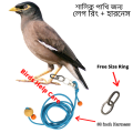 Shalik Pakhi Leg Ring andHarness Combo 1 Piece. 