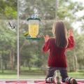 Window Bird Feeder with Strong Suction Cup, Removable Hanging Wild Bird Feeder Watch Wild Backyard Birds From Your House. 