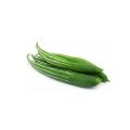 Organic Chichinga/Kushi Seeds (???????) -10 Pcs Seeds. 