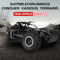 ZWN 1:16/1:20 2.4G Model RC Car With LED Light 2WD Off-road Remote Control Climbing Vehicle Outdoor Cars Toy Gifts for Kids. 