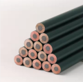 Giorgione Professional Charcoal Pencil 3.8mm Lead Core Sketch Pencils Set For Artist Students Drawing 12 pcs mix soft medium & Hard. 