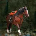1/12 Scale Horse Figure Action Figure Accessory for 6 inch Figure Accessory.