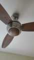 Pak Elegance 56" Ceiling Fan- Made in Pakistan.