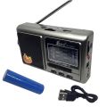 FEPE FP-1525U FM Radio With Multi Function Music Player AM/FM/SW.