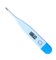 Digital Thermometer. 