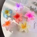 Egg flower claw for women's new high-end hair accessory headwear clip, large back spoon shark clip.