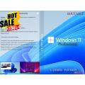 Windows 11 ((Professional Disk)). 