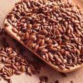 Brown Flax Seeds (Tishi Seed)-500Gmn(Clean). 