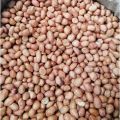 China Badam, Peanuts,(Raw Brown Skin) - 1Kg. 