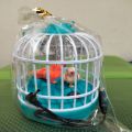 RANI Talking Birds Toy Rechargeable Talking and Chirping Birds for Kids with Charger Cable. 