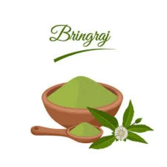 Bhringraj%20Powder-100%20gm%20(Bhringaraj%20gura)%20-%20Image%207