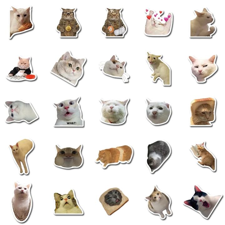 10/50PCS%20Cat%20MEME%20Funny%20Animals%20Stickers%20Vintage%20Toy%20DIY%20Kids%20Notebook%20Luggage%20Motorcycle%20Laptop%20Refrigerator%20Decals%20Graffiti%20-%20Image%204