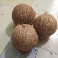 Dry Coconut Seed 1 peices 800gm-1000gm Big size. 