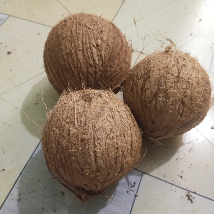 Dry%20Coconut%20Seed%201%20peices%20800gm-1000gm%20Big%20size%20-%20Image%208