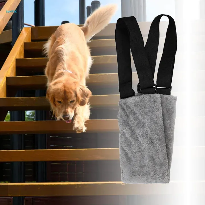 Dog%20Lift%20Support%20Harness%20Adjustable%20Hips%20Pet%20Straps%20Auxiliary%20Belt%20for%20Joint%20Injuries%20Elderly%20Dogs%20S%20-%20Image%206