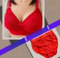 Deluxe Comfort Bridal Bra and Panty Set: Perfect for Newly Married Wives. 