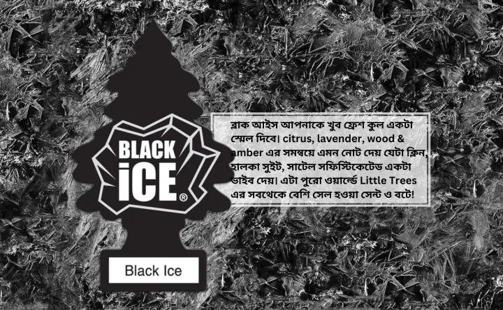 Little%20Trees%20Black%20Ice%20Car%20Air%20Freshener%20%E0%A5%A4%20Little%20Tree%20%E0%A5%A4%20Car%20Perfume%20%E0%A5%A4%20Air%20Freshener%20%E0%A5%A4%20Black%20ice%20%E0%A5%A4%20hanging%20tree%20%E0%A5%A4%20Skyline%20Autos%20-%20Image%206