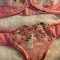Pink Lingerie Woman Lace Transparent Underwear Fairy Embroidery Brief Sets Delicate Bra Panties Kits Breves Sets. 
