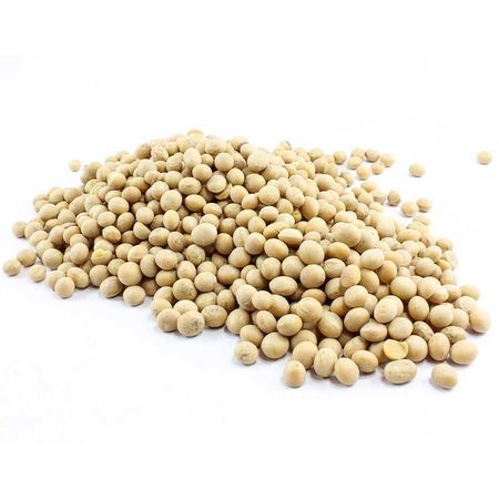 Soybean%20Seeds(Soybean%20dana)%20500%20gm%20-%20Image%203