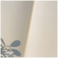 Ice Cream Notebook (SN202405388).