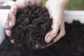 Vermicompost /Kecho Sar Organic Compost fertilizer for Plants Plant food  pack. 