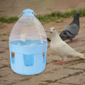 Pigeon Waterer Drinker Feeder Automatic Bird Water Dispenser for Duck Parrot 2L.