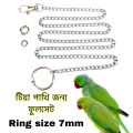 Metal Foot Chian Harness Leash & anklet Ring fullset combo pack for ringneck or sun conure birds. 