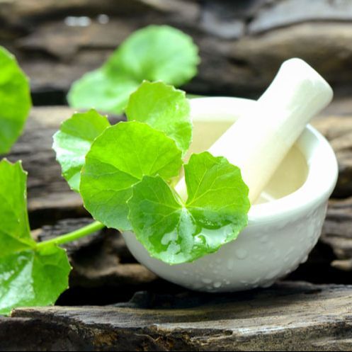 Centella%20leaf%20powder/Thankuni%20pata%20gura-%20100gm%20-%20Image%204