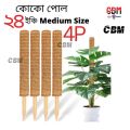 3 pcs Coco Pole - 12 inch Coir(Coco peat) Grow Stick. 