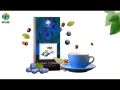 HGW Blueberry COffee 1BOX (15 gm*12 Pcs). 
