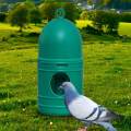 Large Capacity Parrot Water Dispenser Breeding Water Pot with Hanging Handles Pigeon Drinker Green. 