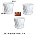 6 Inchi Camelia Planter white 3 Pcs with Tray. 
