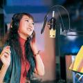 BM800 Condenser Microphone.