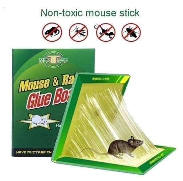 Big Size Rat Bond Traps Green Killer China
