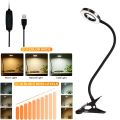 Clip on Light Reading Lights Clamp Light with USB LED Desk Lamp Flexible Night Light for Reading/Bed Headboard Headbaord Light. 