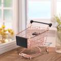 Mini Shopping Cart Birthday Gift Mini Supermarket Handcart for Kids Boy Children Toys. 
