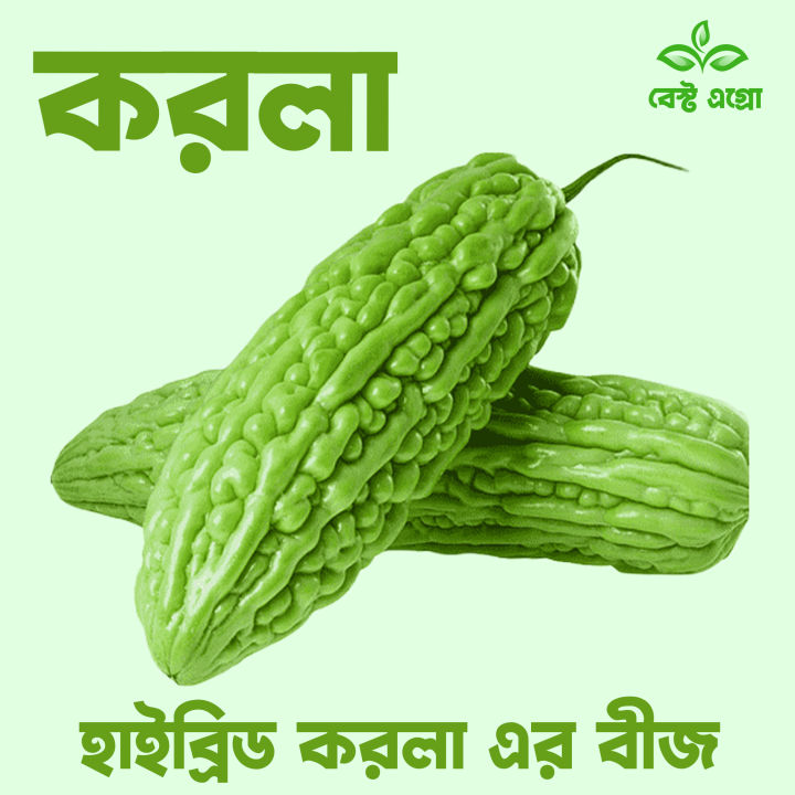 Highly Vital - "Hibrid Bitter Melon (Goz Corolla) 10 Piece, Vegetable Seeds" - Tools, DIY & Outdoor - Modern and Trendy - Excellent