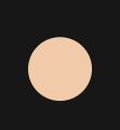 Topface Skin Editor Matte Finishing Powder 005.