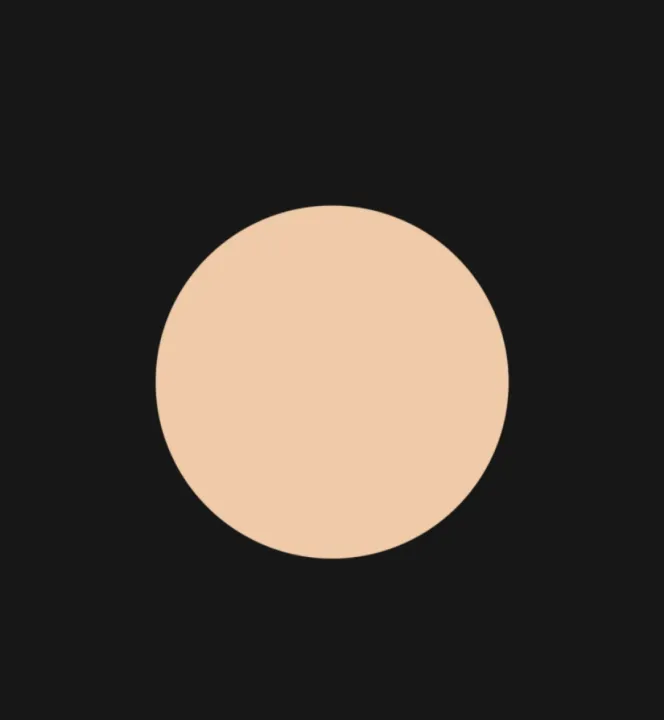 Topface%20Skin%20Editor%20Matte%20Finishing%20Powder%20005%20-%20Image%203