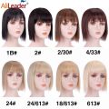 Synthetic 10'' Mini Wig Invisible Seamless False Bangs Hairpieces Natural Hair Bangs Overhead Clip In Wiglets Cover Gray Hair.