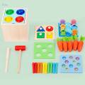 Montessori Object Permanence Box Hand Eye Coordination for Preschool Toddler. 