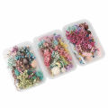Dried Flowers Floral Art Craft Scrapbooking Resin Jewelry Making mold Podazz. 