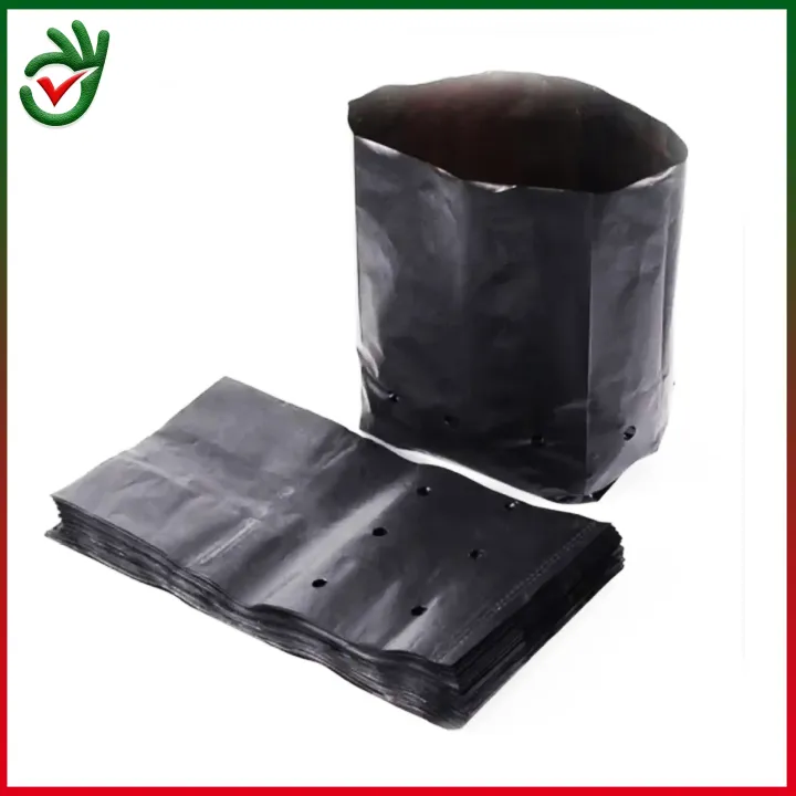 badgeNursery%20Black%20Poly%20Bag%207"/7"%2015pcs%20for%20Planting%20%E0%A6%A8%E0%A6%BE%E0%A6%B0%E0%A7%8D%E0%A6%B8%E0%A6%BE%E0%A6%B0%E0%A7%80%20%E0%A6%95%E0%A6%BE%E0%A6%B2%E0%A7%8B%20%E0%A6%AA%E0%A6%B2%E0%A6%BF%20%E0%A6%AC%E0%A7%8D%E0%A6%AF%E0%A6%BE%E0%A6%97%20(%E0%A6%9B%E0%A6%BF%E0%A6%A6%E0%A7%8D%E0%A6%B0%20%E0%A6%93%20%E0%A6%AD%E0%A6%BE%E0%A6%9C%20%E0%A6%AF%E0%A7%81%E0%A6%95%E0%A7%8D%E0%A6%A4)%20Nursery%20Pots%20Plant%20Grow%20Bags%20Seedling%20Planter%20-%20Image%203
