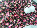 Baby Girls soft & Fashionable kaftan Dress for 1 2 3 4 5 6 7 - বাচ্চাদের জামা.