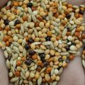 Bird Food Millet Canary Mix - 500g. 